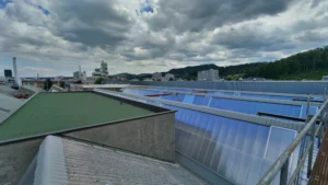neue Sheddächer
